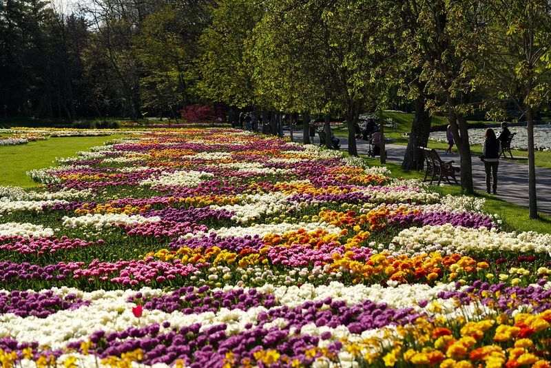 Ce trebuie să eviți dacă vrei să vizitezi Craiova, orașul din inima Olteniei? 