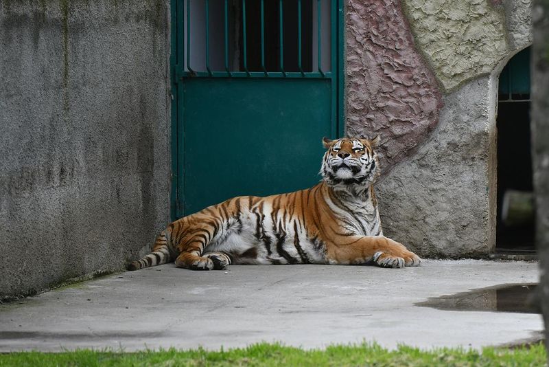 Top 5 lucruri pe care să le eviți dacă ajungi în Craiova