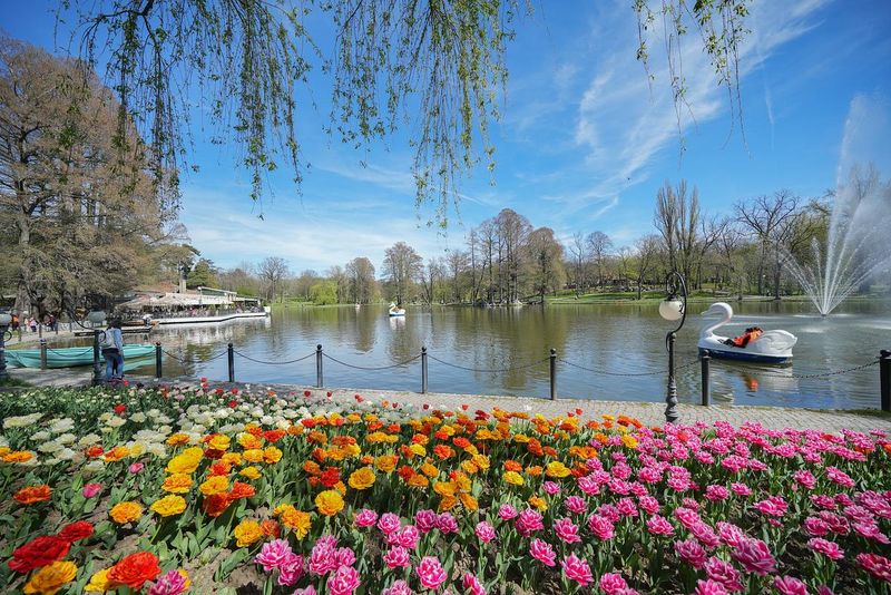 De ce trebuie să ții cont dacă vrei să vizitezi orașul Craiova? 