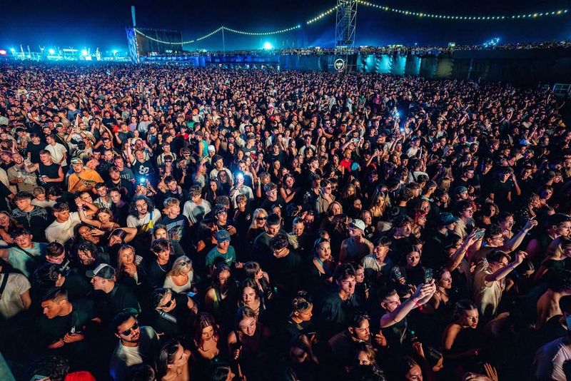 Ce au găsit comisarii ANPC la Beach, Please! 2025? 