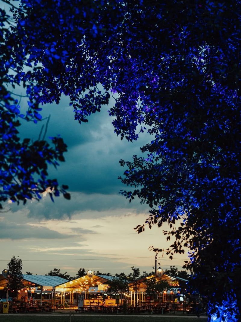 Iată primele imagini de la Electric Castle 2025