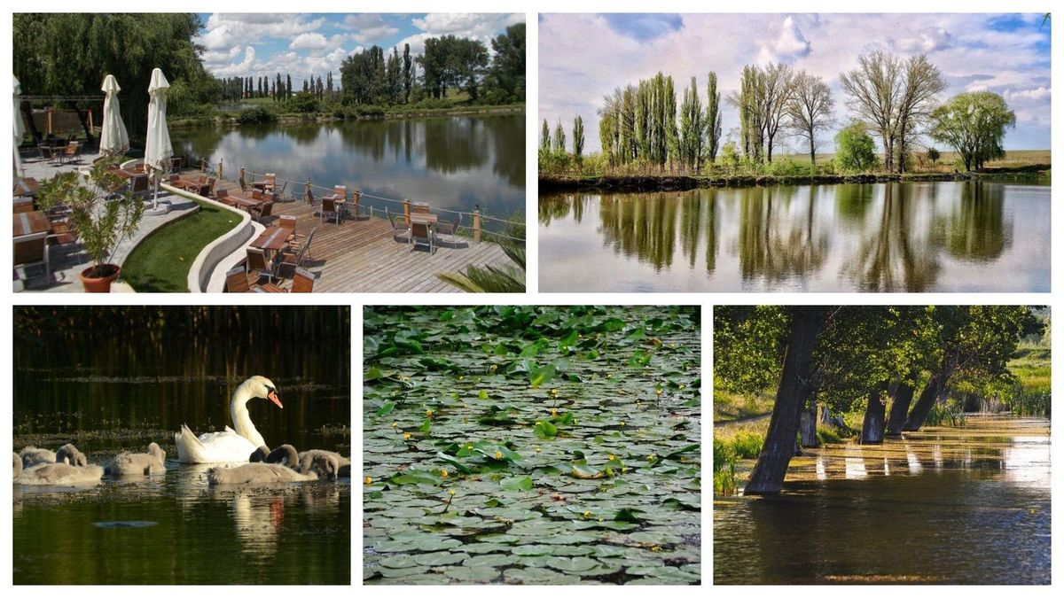 Imagini superbe din Preajba-Făcăi 