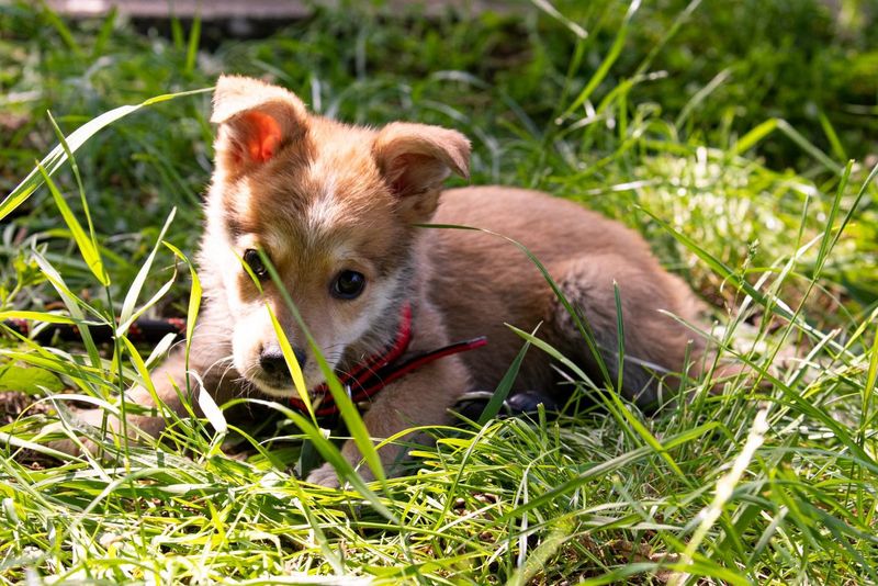 La ce evenimente poți să mergi în weekend? 