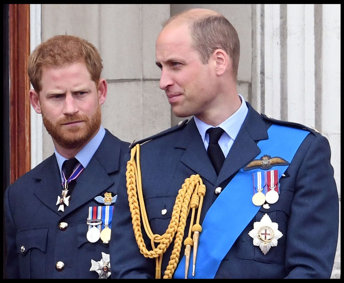 Printul William si Harry la parada