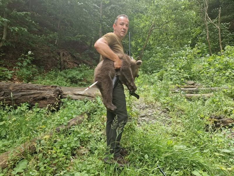 În ce stare este acum ursulețul Luci? 