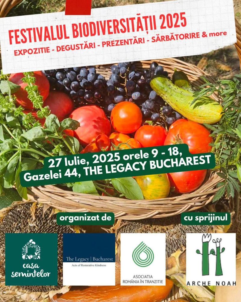 Descoperă la ce festivaluri poți participa în weekend 