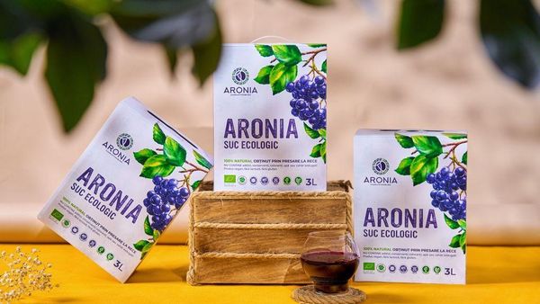 Află cum să-ți îmbunătățești starea de sănătate cu ajutorul sucurilor medicinale