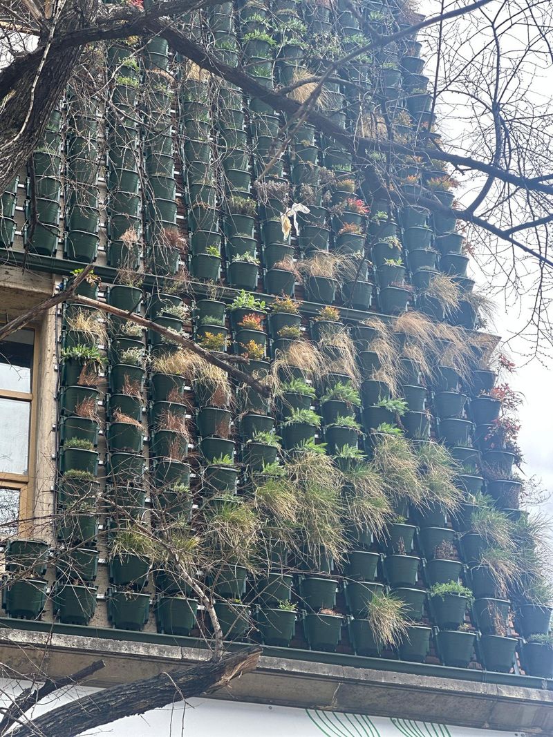 Cum și unde a fost construită singura grădină exterioară verticală din România 