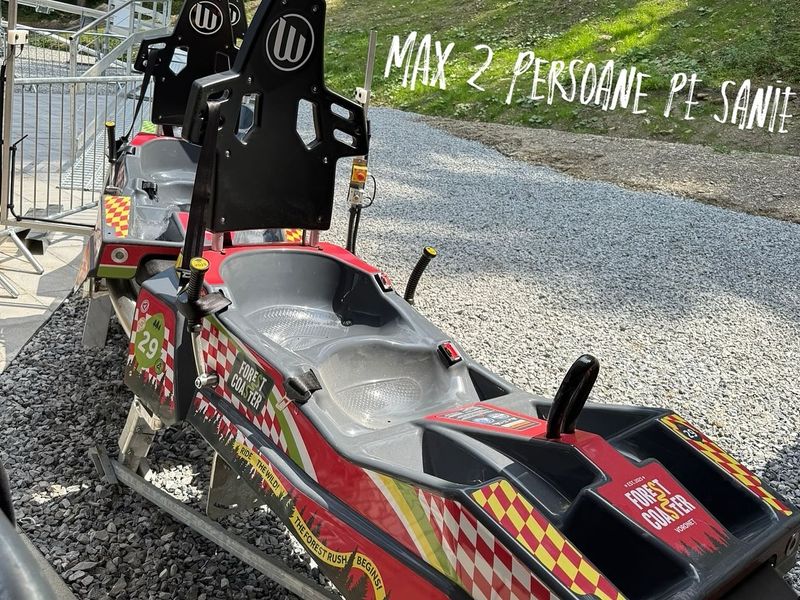 Ce trebuie să știi despre forest coaster-ul de la Gura Humorului? 