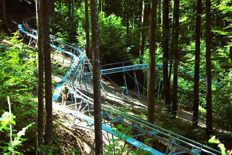 Un forest coaster s-a deschis la Gura Humorului 