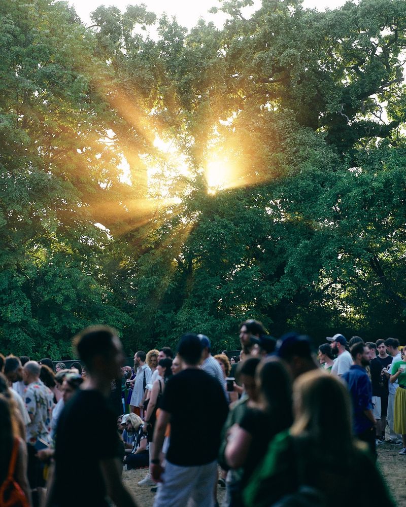 Descoperă line-up-ul pentru Summer Well 