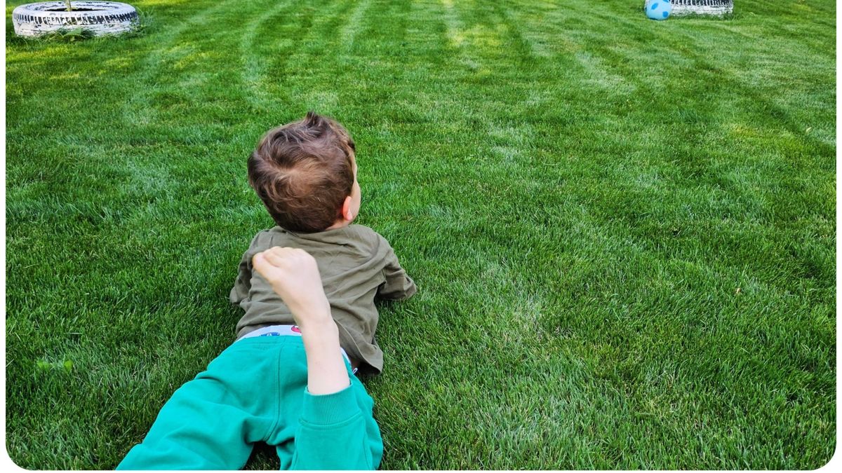 &Icirc;ngrășăm&acirc;nt pentru gazon &ndash; cea mai bună compoziție pentru peluza ta &icirc;n funcție de anotimp