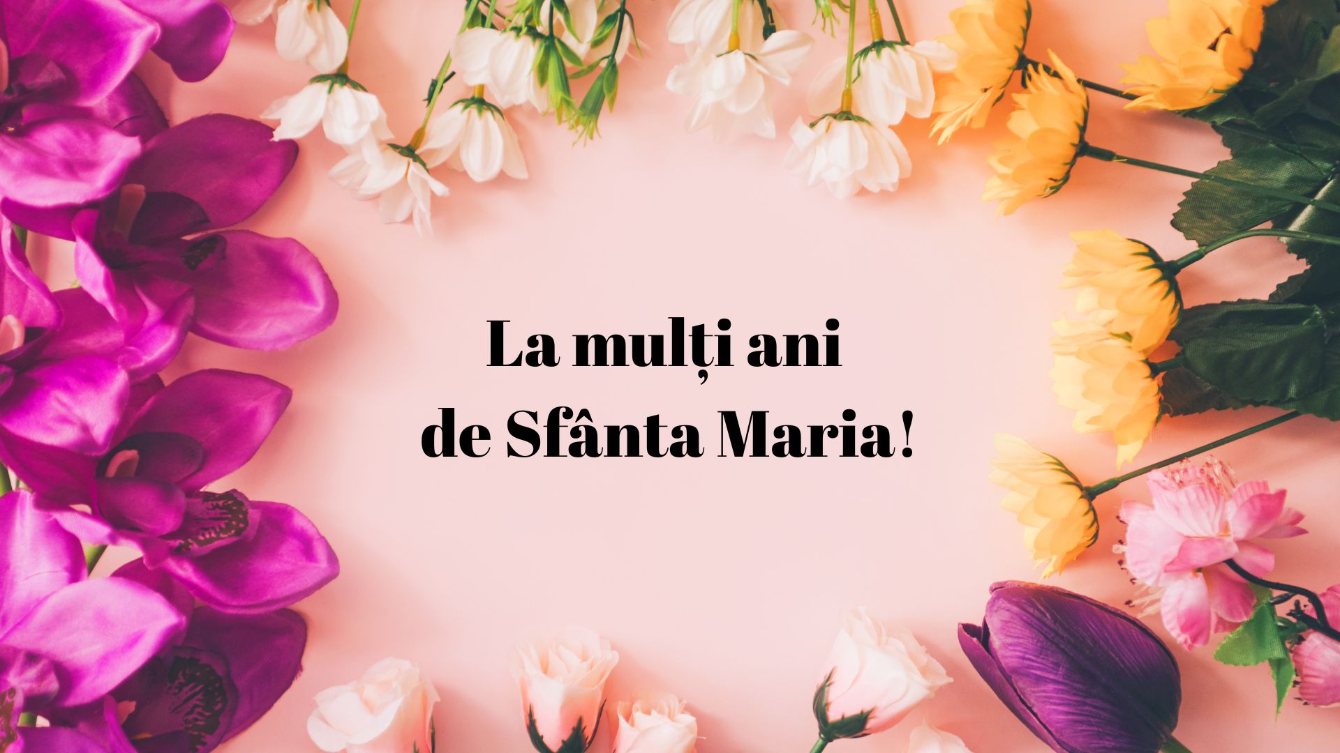 Heartfelt messages and greetings for Saint Mary sărbători