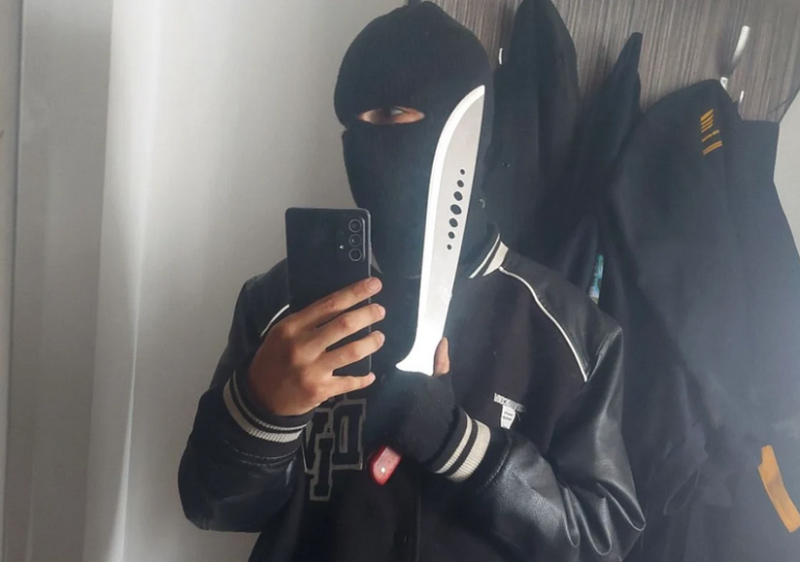 agresorul care a atacat livratorul străin