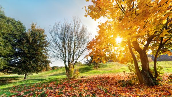 Prognoza meteo pentru septembrie 2025. ANM anunță temperaturi peste cele obișnuite &icirc;n prima jumătate a lunii. C&acirc;nd vine frigul?