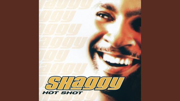 SHAGGY - It Wasn't Me