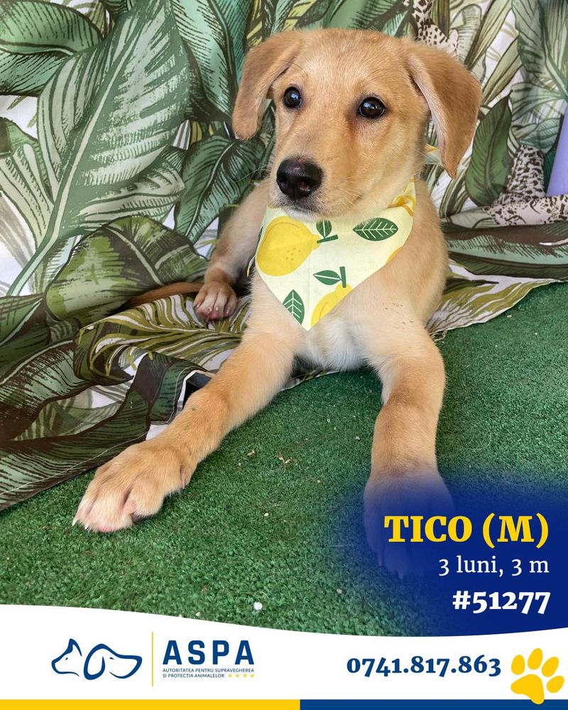 Lista evenimentelor din weekendul 6-7 septembrie 2025