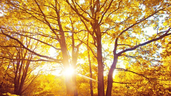 Cum va fi vremea până la începutul lunii octombrie 2025? ANM anunță temperaturi neobișnuit de ridicate în toată țara