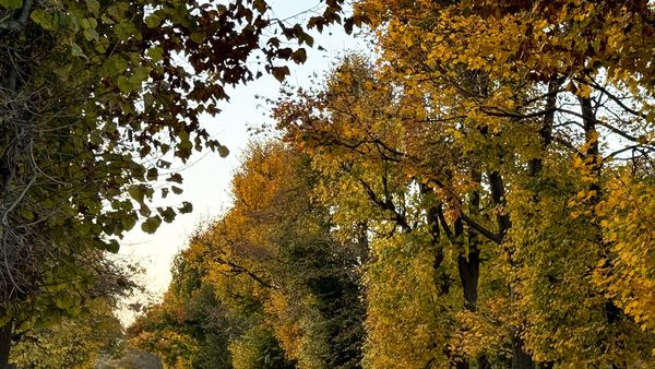 Echinoctiul de toamna incep astazi de la ora 21:19. C&acirc;nd se trece la &rdquo;ora de iarnă&rdquo;