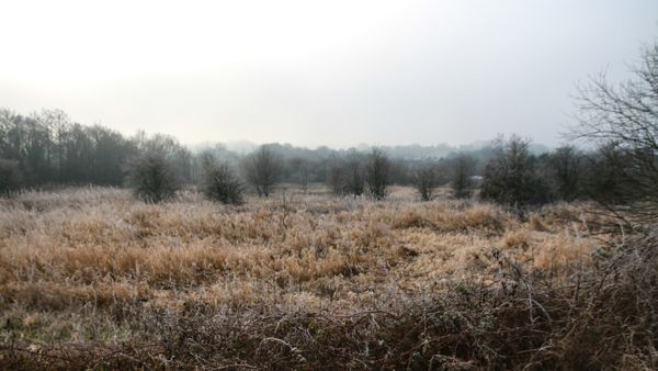 Unde cad primele ninsori din 2025? Meteorologii au făcut ANUNȚUL. Vremea se răcește considerabil de săptăm&acirc;na aceasta &icirc;n toată țara