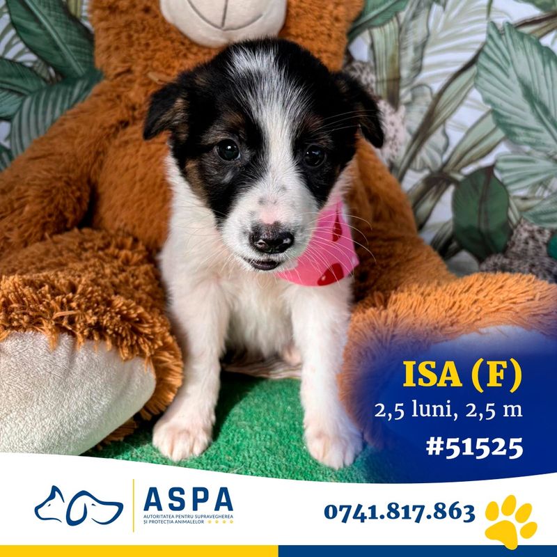 Vezi ce poți face în București în weekendul 31 octombrie - 2 noiembrie