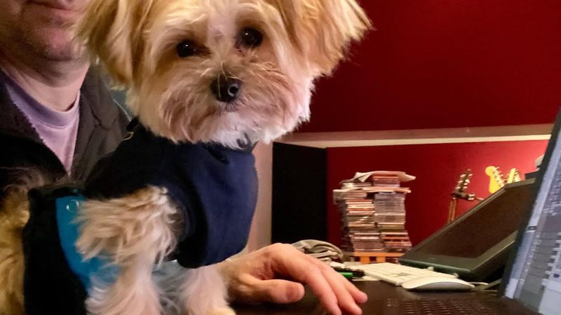 Cine este inginerul de sunet rom&acirc;no-canadian care a primit şase propuneri la Premiile Grammy 2026. Şerban Ghenea Şerban Ghenea a c&acirc;ştigat premiul Grammy anul trecut &icirc;n calitate de inginer de sunet la albumul "Midnights" al lui Taylor Swift