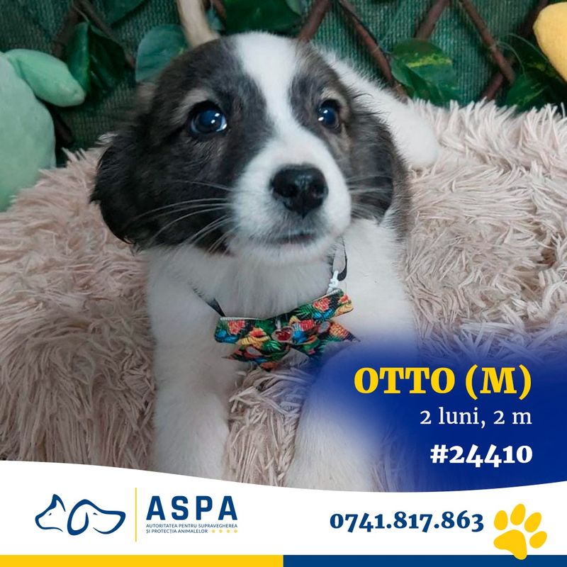 Ce târguri au loc în weekend? 