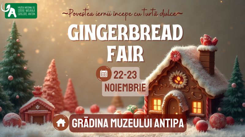 Lista evenimentelor organizate în București în weekendul 22-23 noiembrie 2025 