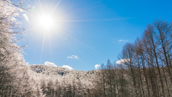 Prognoza meteo pentru decembrie 2025. ANM anunță temperaturi peste cele specifice p&acirc;nă la jumătatea lunii. Cum va fi vremea de Crăciun și de Revelion?