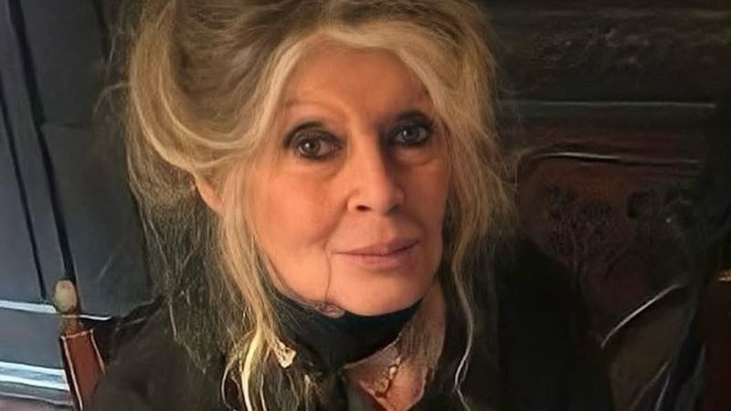 Ce a anunțat Brigitte Bardot despre starea sa de sănătate: "Doresc ca oamenii să aibă delicateţea de...". Actriţa este &bdquo;&icirc;n convalescenţă&rdquo;