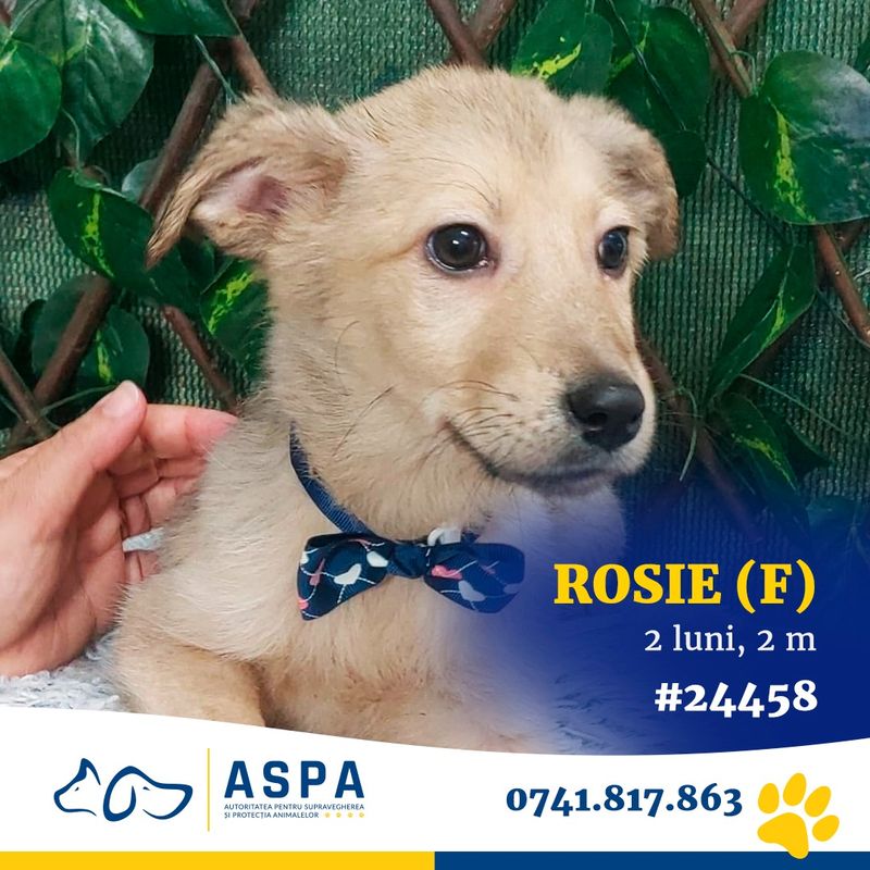 Evenimentele care vor avea loc în weekendul 6-7 decembrie 2025