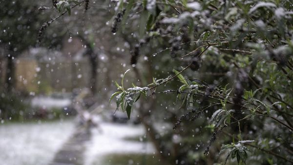 Temperaturi neașteptat de ridicate p&acirc;nă la sf&acirc;rșitul anului 2025! Cum va fi vremea de Crăciun și de Revelion? Meteorologii anunță că frigul revine din ianuarie 2026