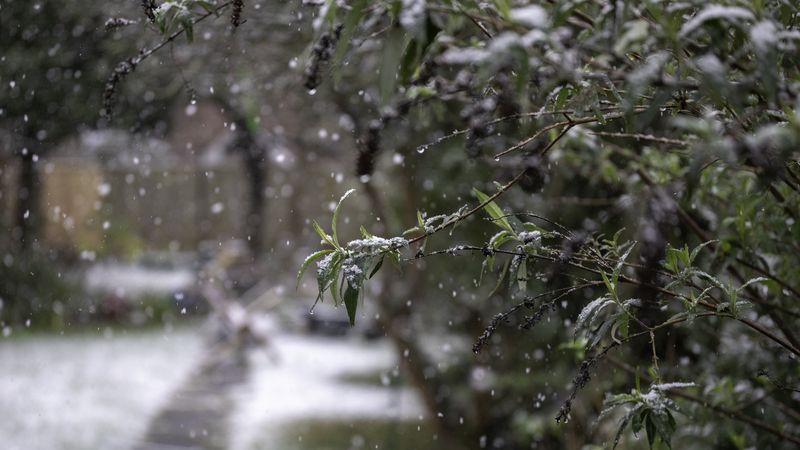 Temperaturi neașteptat de ridicate p&acirc;nă la sf&acirc;rșitul anului 2025! Cum va fi vremea de Crăciun și de Revelion? Meteorologii anunță că frigul revine din ianuarie 2026