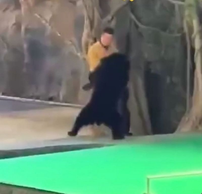 Motivul pentru care un angajat al unei grădini zoologic a fost atacat de un urs 