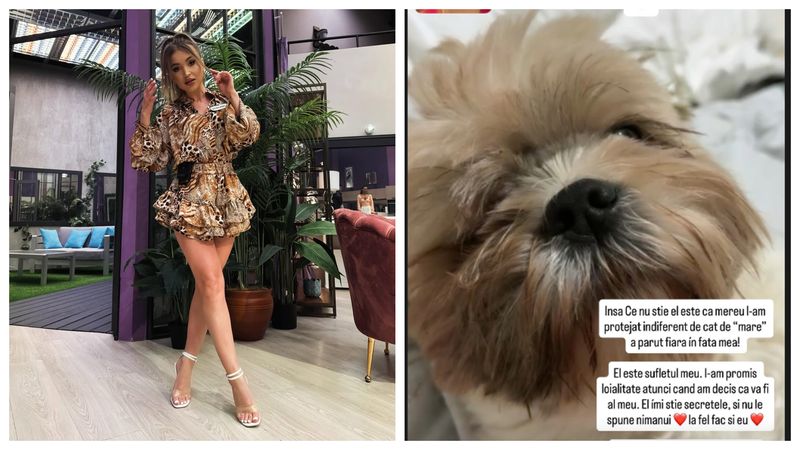 Mesajul postat de Veronica 