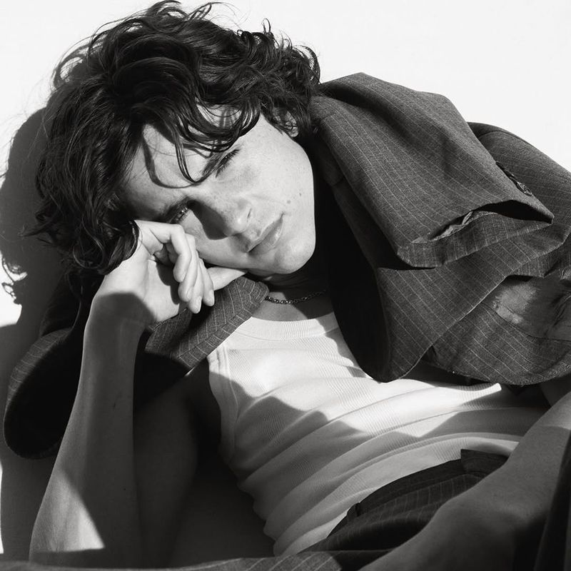 Timothée Chalamet, în mijlocul unor speculații neașteptate 