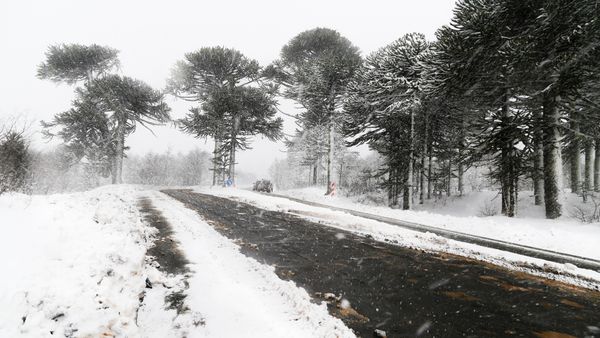 ANM anunță COD ROȘU de v&acirc;nt și viscol &icirc;n mai multe regiuni ale țării! Ce se &icirc;nt&acirc;mplă cu vremea &icirc;ncep&acirc;nd de astăzi?