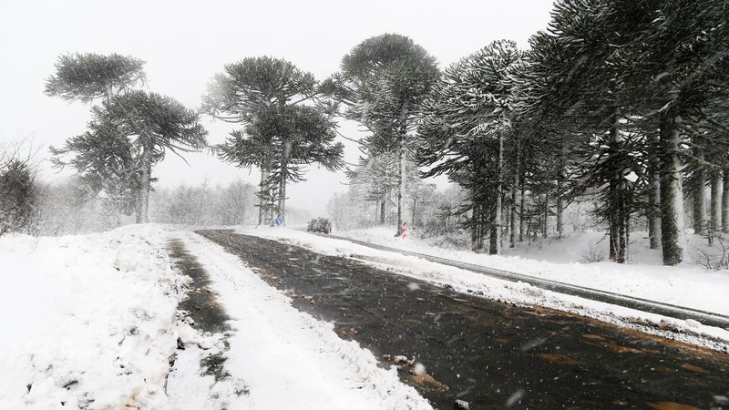 ANM anunță COD ROȘU de v&acirc;nt și viscol &icirc;n mai multe regiuni ale țării! Ce se &icirc;nt&acirc;mplă cu vremea &icirc;ncep&acirc;nd de astăzi?