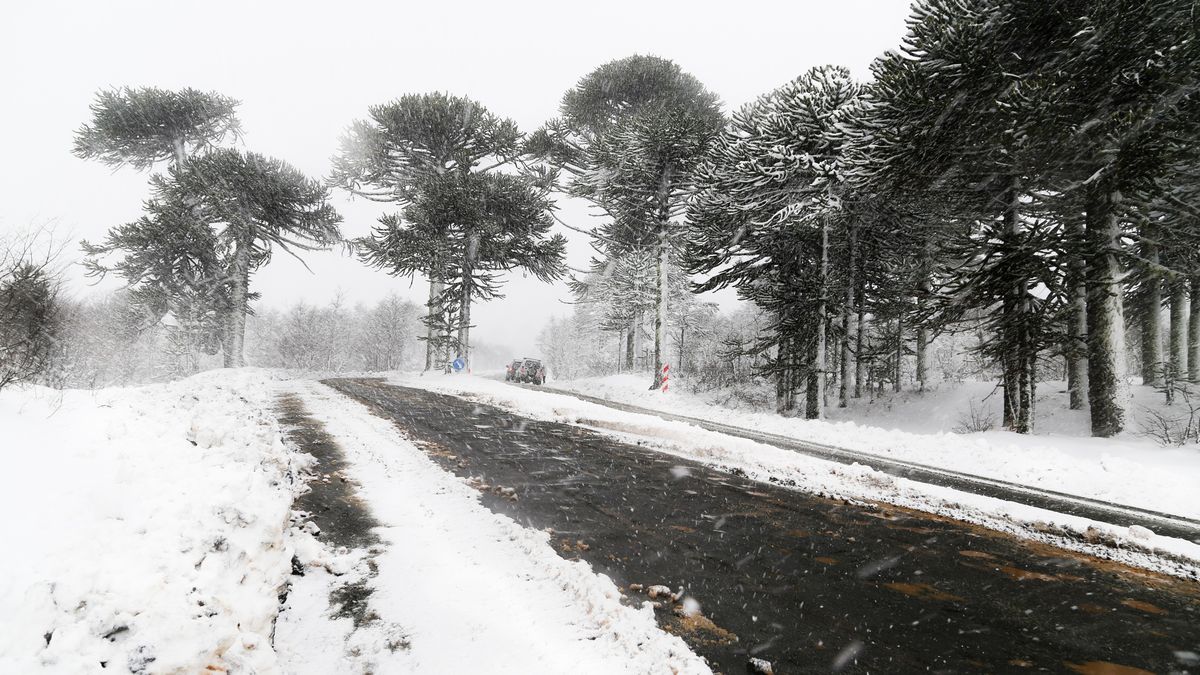 Ce se &icirc;nt&acirc;mplă cu vremea &icirc;ncep&acirc;nd de astăzi? 