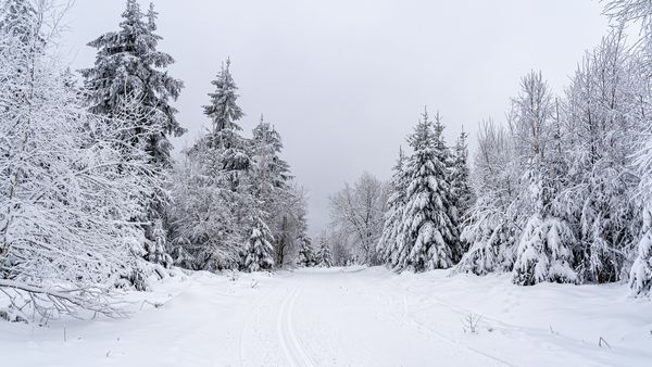 Meteorologii au făcut ANUNȚUL! Ce se &icirc;nt&acirc;mplă cu vremea p&acirc;nă luni, 5 ianuarie 2026, și unde sunt așteptate ninsori, polei și viscol?