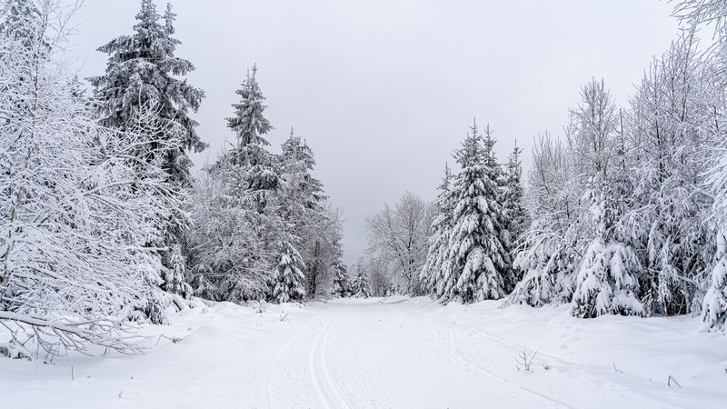 Meteorologii au făcut ANUNȚUL! Ce se &icirc;nt&acirc;mplă cu vremea p&acirc;nă luni, 5 ianuarie 2026, și unde sunt așteptate ninsori, polei și viscol?
