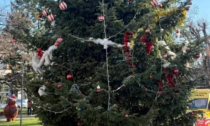 Bradul de Crăciun din centrul orașului Drăgăşani a fost tăiat de pe un mormânt din cimitir.