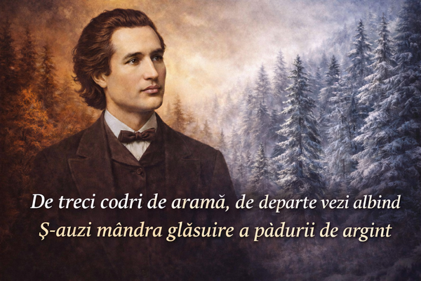 Ironii pe pagina de Facebook a Ministerului Afacerilor Interne după ce versurile unei poezii a lui Eminescu au fost citate greşit. Nici titlul poeziei nu a fost cel corect