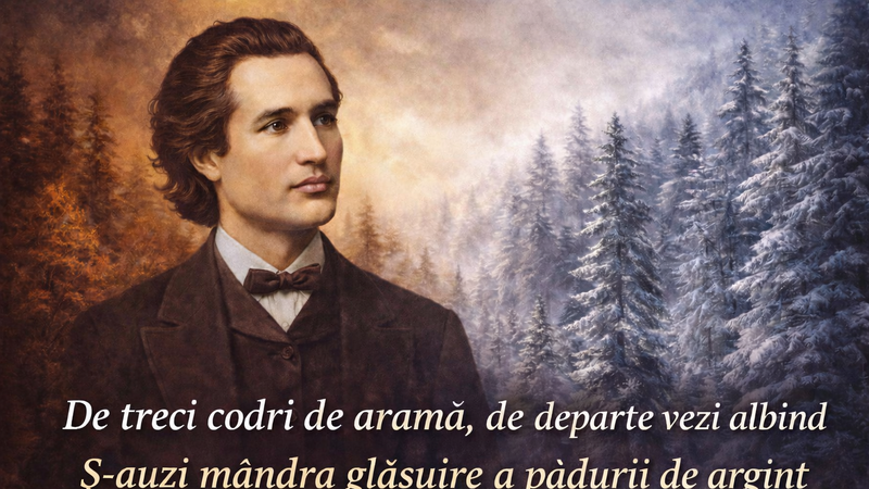 Ironii pe pagina de Facebook a Ministerului Afacerilor Interne după ce versurile unei poezii a lui Eminescu au fost citate greşit. Nici titlul poeziei nu a fost cel corect