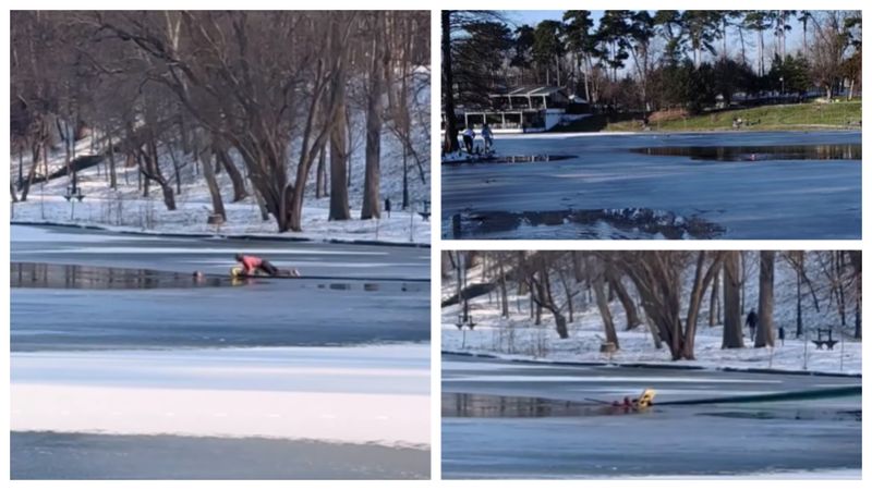 ANUNȚUL făcut de Lia Olguța Vasilescu după ce un cetățean indian a salvat fetița de 5 ani căzută &icirc;n lacul &icirc;nghețat din Parcul Nicolae Romanescu! Bărbatul va primi titlul de cetățean de onoare al orașului