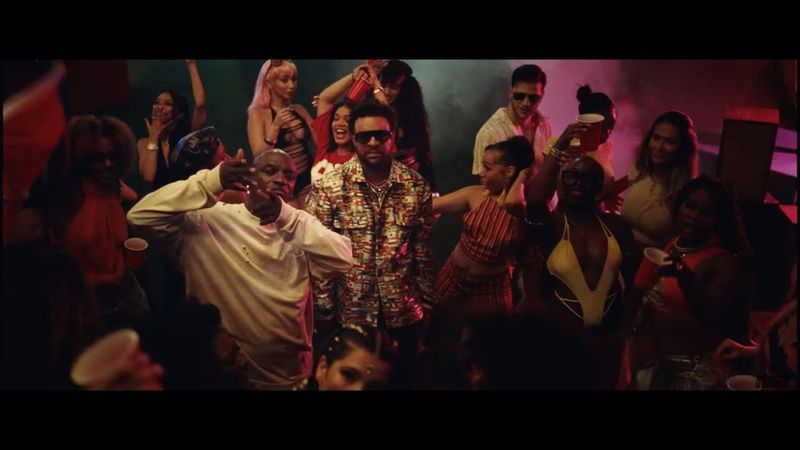 SHAGGY & AIDONIA & AKON - Boom Body