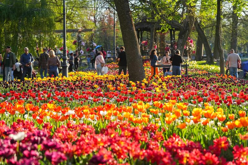 Târgul de Paște 2026 de la Craiova 