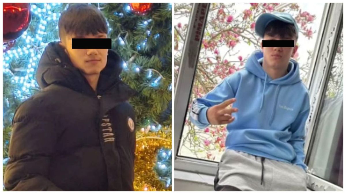 Crima din Cenei a șocat toată Rom&acirc;nia, după ce un adolescent &icirc;n v&acirc;rstă de 15 ani a fost ucis cu bestialitate de alți doi băieți de v&acirc;rsta sa și ulterior &icirc;ngropat &icirc;n grădină.