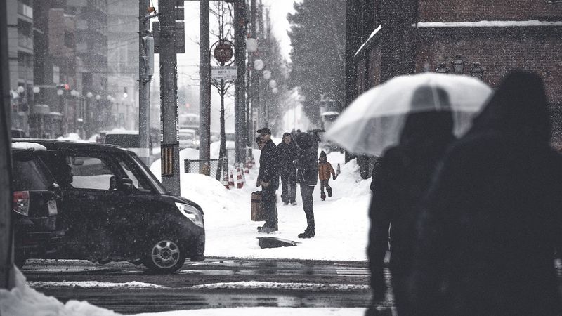 Ce se &icirc;nt&acirc;mplă cu vremea p&acirc;nă duminică, 1 februarie 2026? METEOROLOGII anunță precipitaţii &icirc;n cea mai mare parte a ţării şi intensificări ale v&acirc;ntului. Temperaturile vor scădea semnificativ