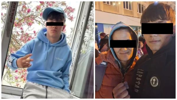 Răspunsul mamei băiatului de 13 ani despre urmele de s&acirc;nge din curte NU poate fi trecut cu vederea. CE S-A &Icirc;NT&Acirc;MPLAT cu adevărat &icirc;n spatele porții și CE A ASCUNS femeia &icirc;n tot acest timp: "Am intrat &icirc;n..."